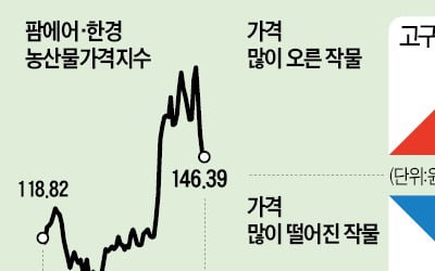 폭염·소나기 직격탄…배추값 한달새 80% '껑충'
