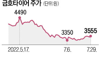 "해외공장 막겠다"…'실사'까지 한 금호타이어 노조