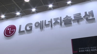 마힌드라 호재에…LG엔솔, '테슬라 악재' 속 나홀로 강세