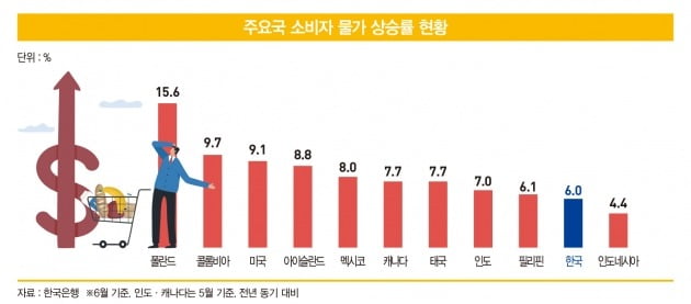 그래픽=배자영 기자