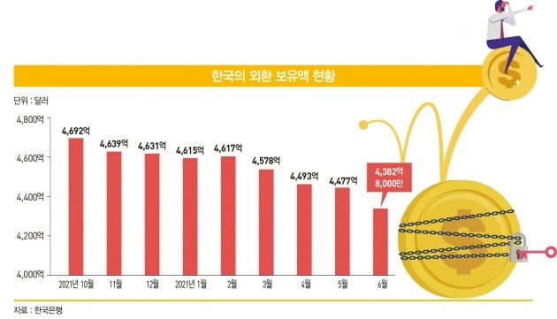 그래픽=배자영 기자