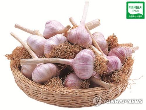 전국 최대 마늘 산지 창녕에서 햇마늘 초매식 | 한국경제 전국 최대 마늘 산지 창녕에서 햇마늘 초매식 | 한국경제