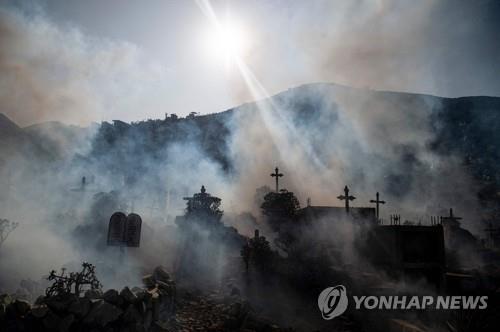 숙주 체취 바꿔 모기 꼬이게 만드는 바이러스의 영악한 확산전략