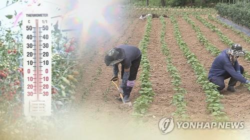 김해 공사장에서 어지럼증 호소 60대 숨져…온열질환 추정