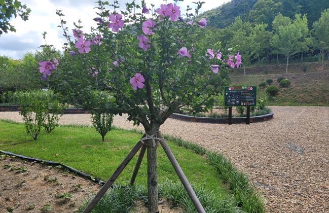 전남산림자원연구소, 3천㎡ 규모 무궁화 정원 조성