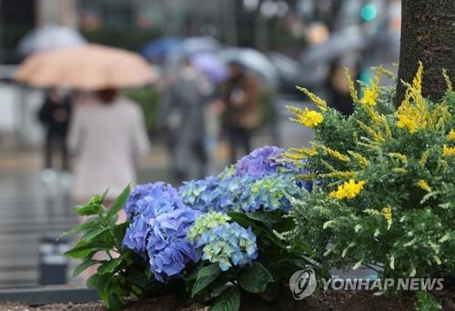 대구·경북 흐리고 저녁까지 비…강수량 5∼40㎜