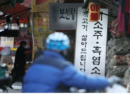 "대구 칠성개시장 완전히 폐쇄해야"…동물단체 기자회견