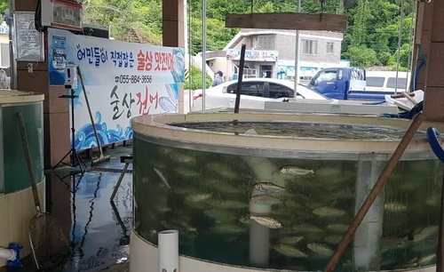 가을 진미 전어가 벌써?…"하동 햇전어 맛보세요"