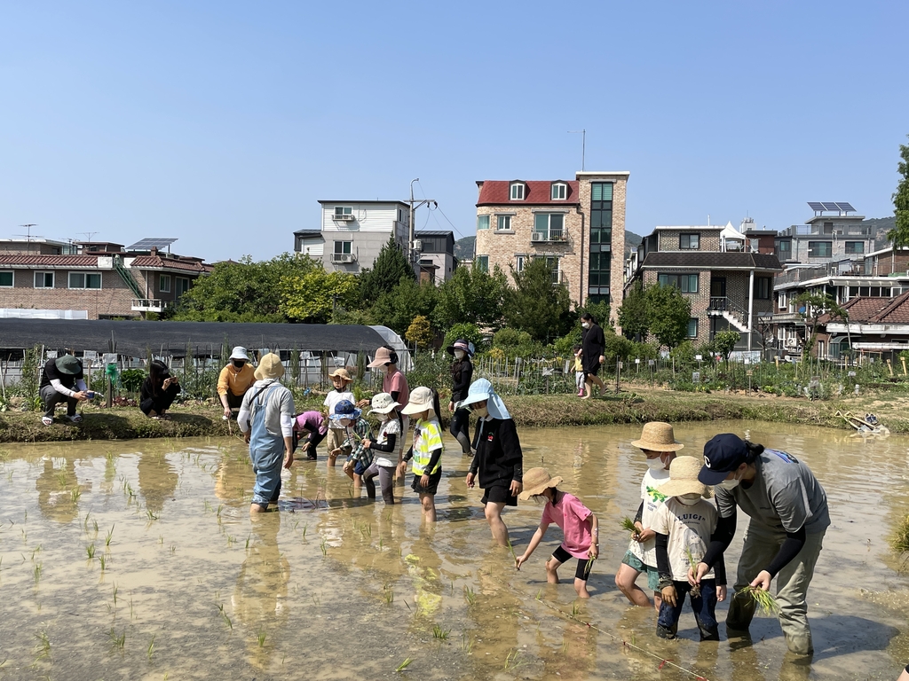 물새 관찰·허수아비 만들기…서울어린이대공원 자연체험 행사