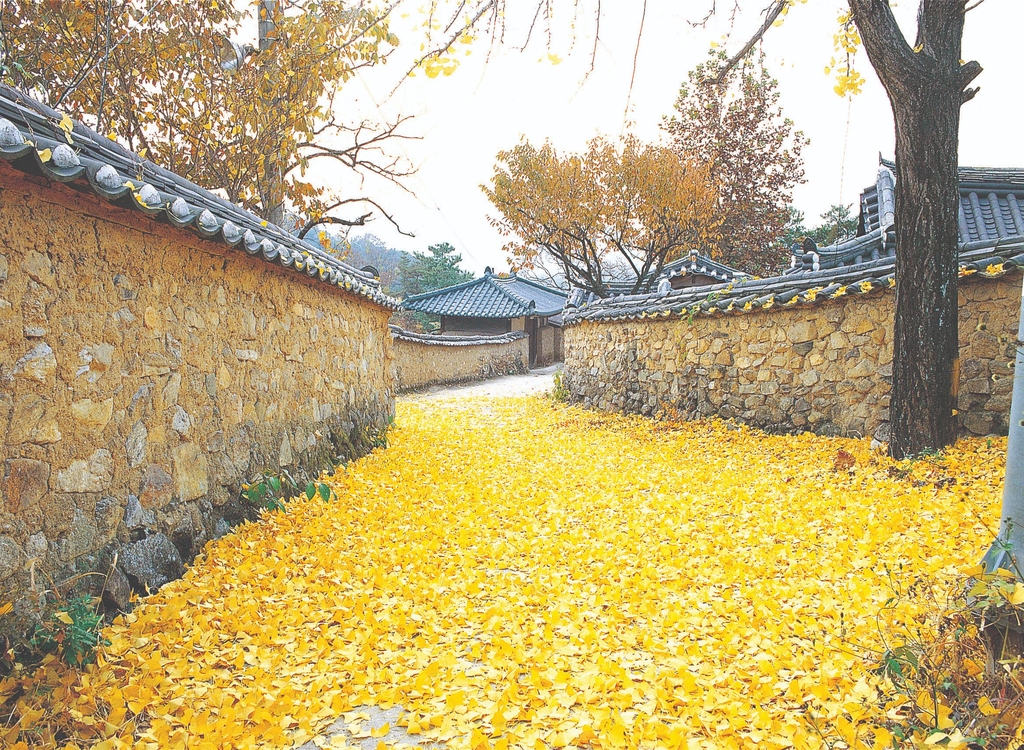 경북이 궁금하면 체험해보세요…6개 시·군서 일주일 살기 운영