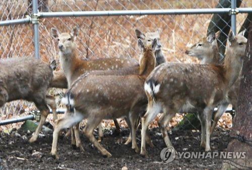 도심습지·국립공원까지 점령한 외래생물…자연생태계 시름