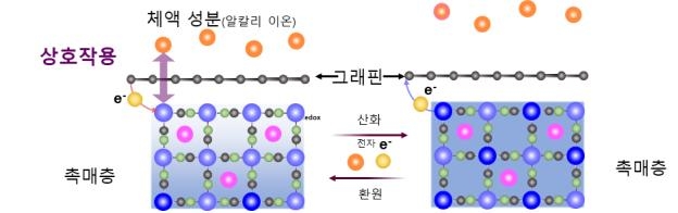 화학연, 1년 지속 사용 혈당 측정 센서 기술 개발