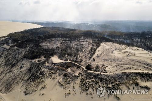 폭염 때문인 줄 알았는데…프랑스 지롱드 등 산불 3건은 방화