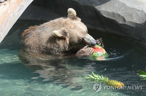 활어로 몸보신하고 진흙 목욕…서울대공원 동물들의 여름나기