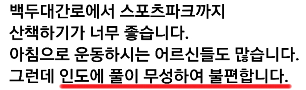 여름 손님 몰려오는데…태백시 인도 곳곳 잡초밭 '눈살'