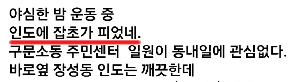 여름 손님 몰려오는데…태백시 인도 곳곳 잡초밭 '눈살'