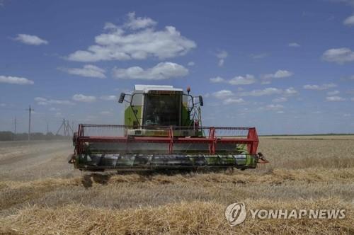 우크라 곡물수출 합의이행 구체화…세계 식량난에 '단비' 되나