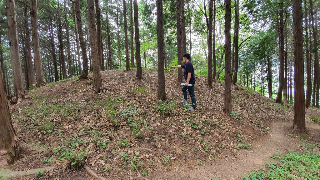 창원 도계·구암동 고분군과 진해 망주석, 향토문화유산 추진