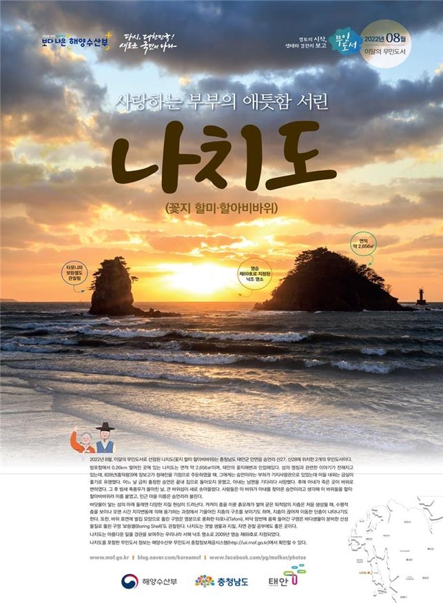 8월의 수산물에 참돔·오징어…해양생물은 붉은바다거북