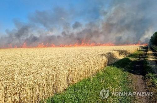 젤렌스키 "올해 곡물 수확량 평년 절반 불과할 듯"