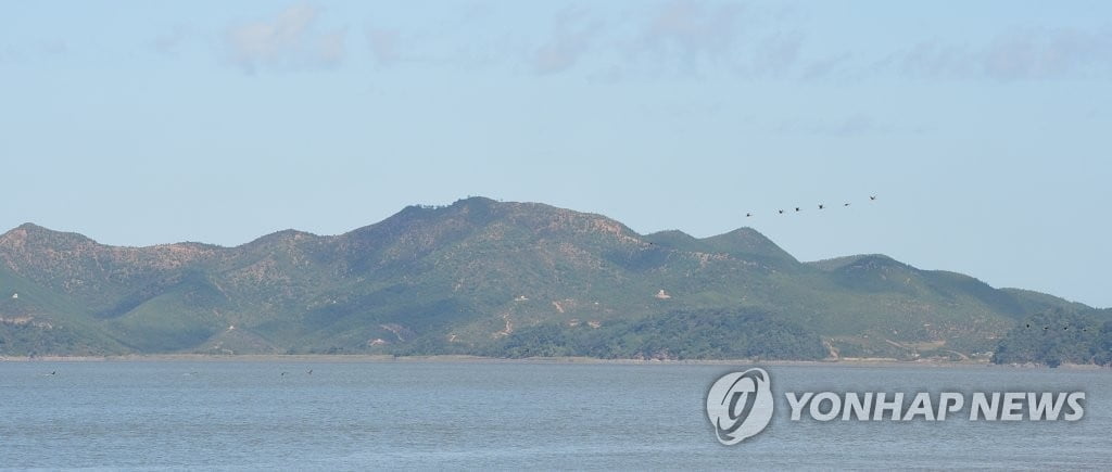 北서 떠내려왔나…한강 어린이 시신 "사인 불명"