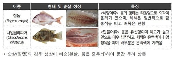 민물고기를 참돔으로…'소비자 기만' 초밥집 적발