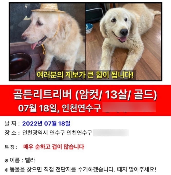 "애타게 찾았는데"…실종 반려견 끌고가 보약 만든 60대