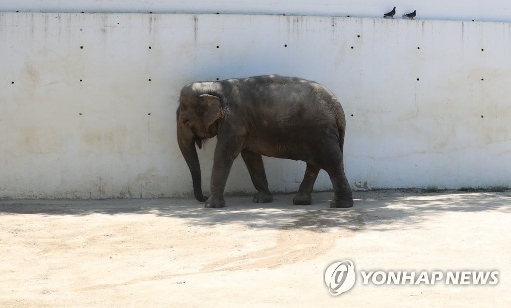 수도권 열대야 이어져…낮 최고 34도 무더위