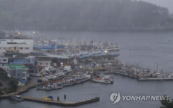 한라산 123㎜ 폭우…태풍 '송다' 영향 제주 곳곳 통제