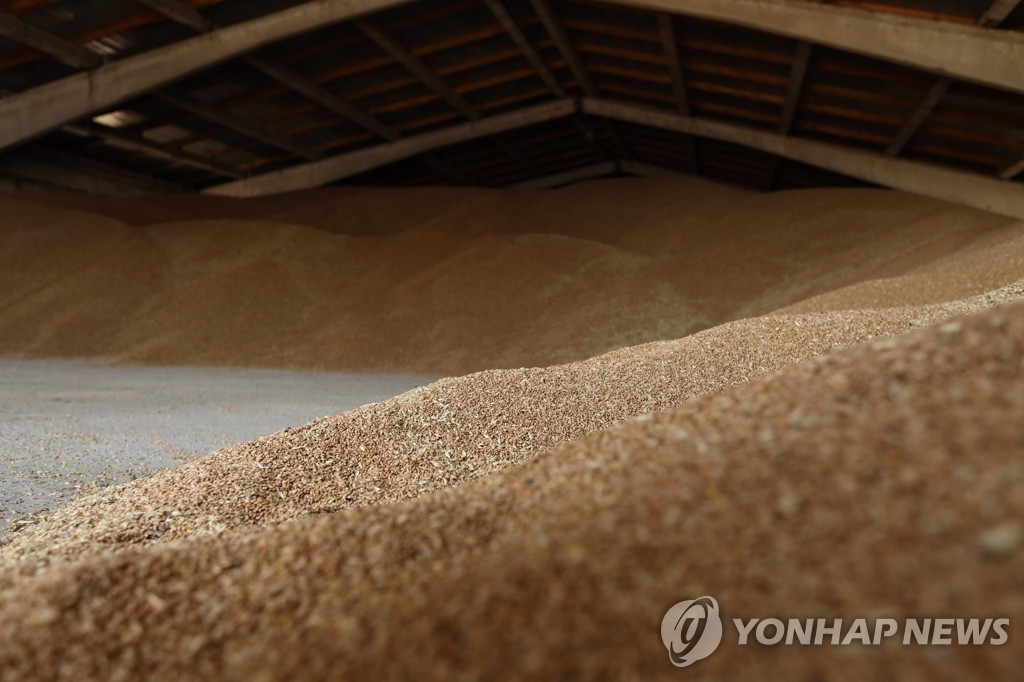 우크라 "러 오데사 공격에도 곡물창고는 무사…수출준비 계속"