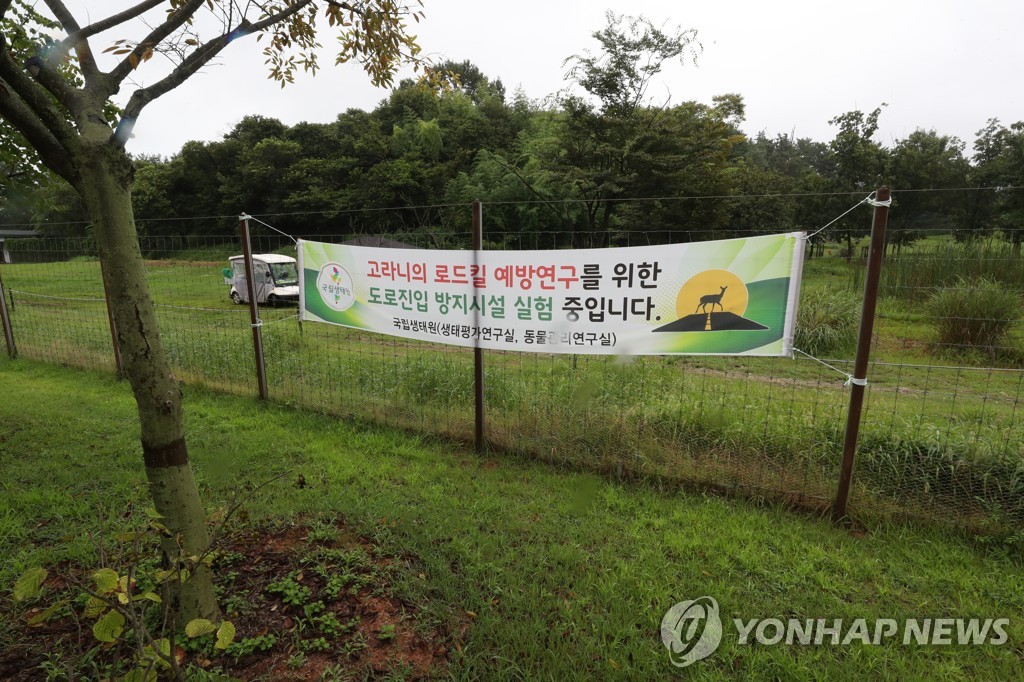 충남 동물찻길사고 가장 많은 도로는 당진 합덕∼석문 구간