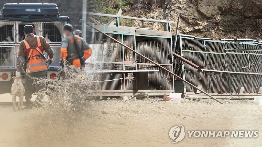 유해동물 수렵하다 생명·신체·재산피해 끼치면 면허 취소