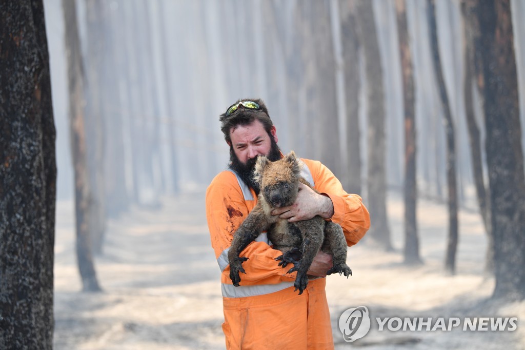 호주 생태파괴 '충격적'…"멸종위기 점점 심해질 듯"