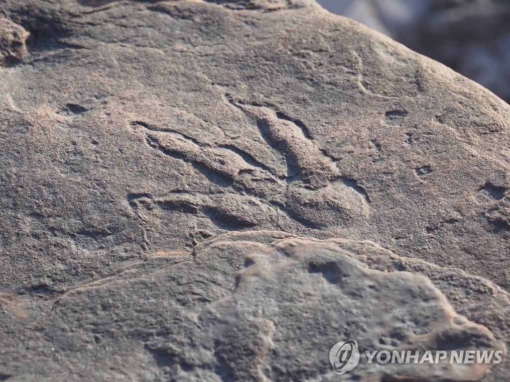 中 시내 한복판 식당 바닥서 1억년 된 공룡 발자국 발견