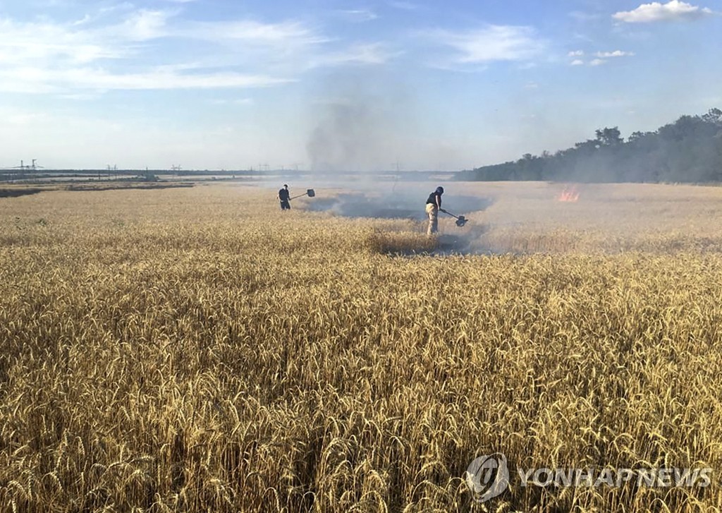 하향 안정화되는 농산물 가격…글로벌 인플레 진정될까