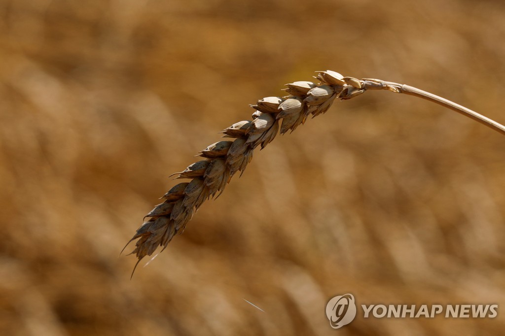 [곡물수출 Q&A] 러시아 오데사항 폭격에 협상이행 '안갯속'