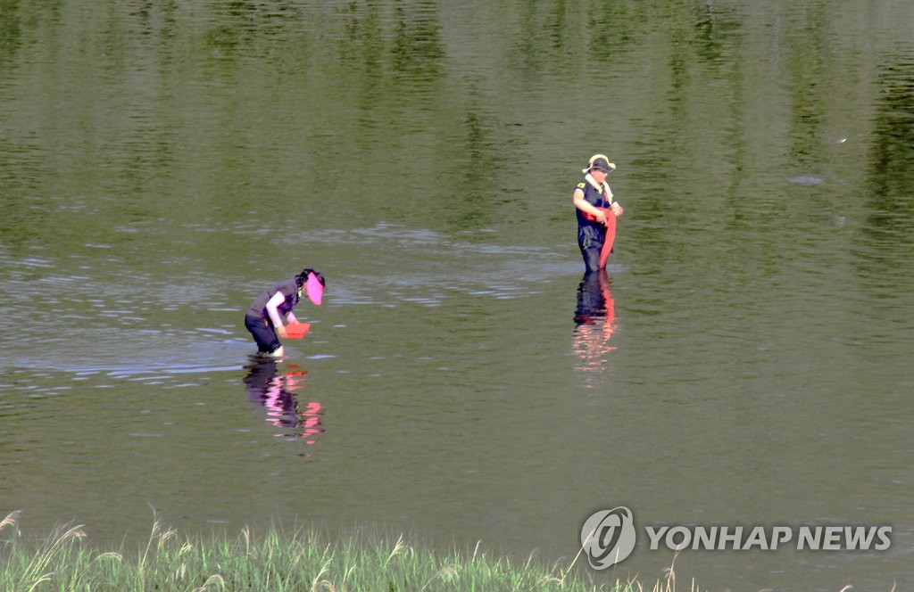 평창강서 다슬기 잡던 70대 실종…기상 악화로 수색 중단