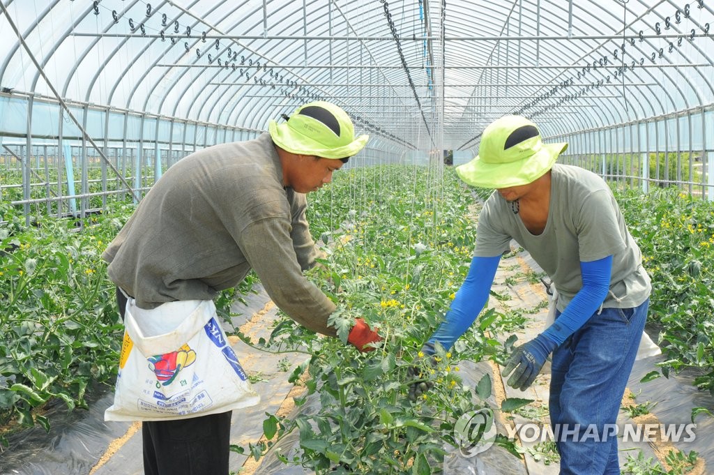 10명 중 6명 도망갔던 강원 농촌 외국인 근로자…올해는 어떨까