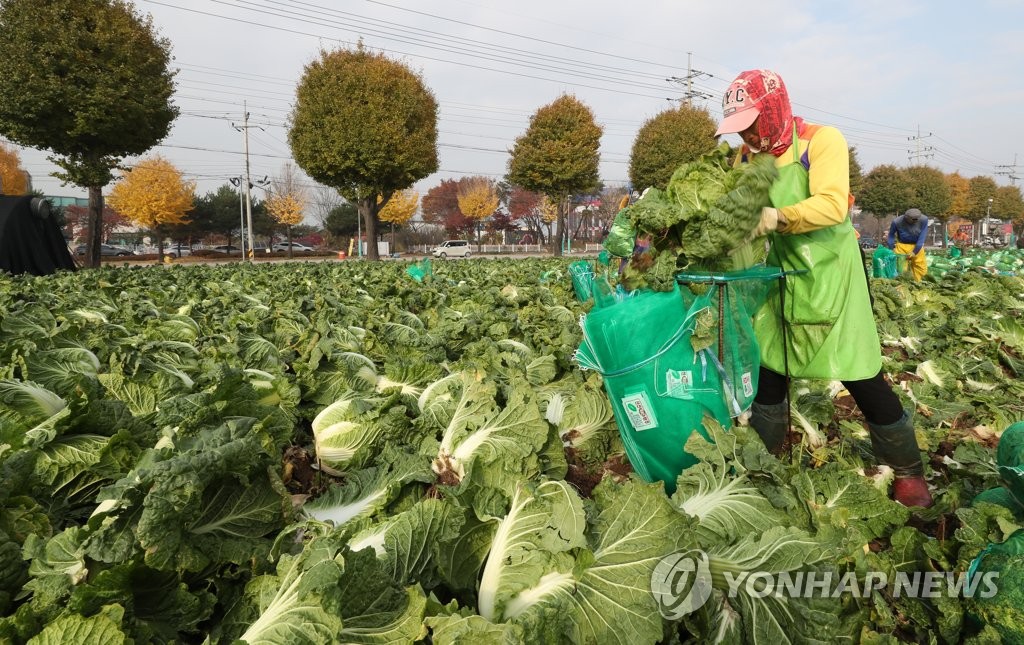 10명 중 6명 도망갔던 강원 농촌 외국인 근로자…올해는 어떨까