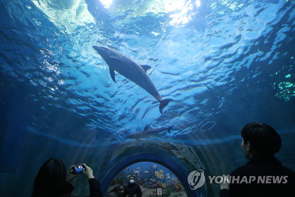 울산 장생포 고래문화특구 방문객 96.5% '관람 만족'