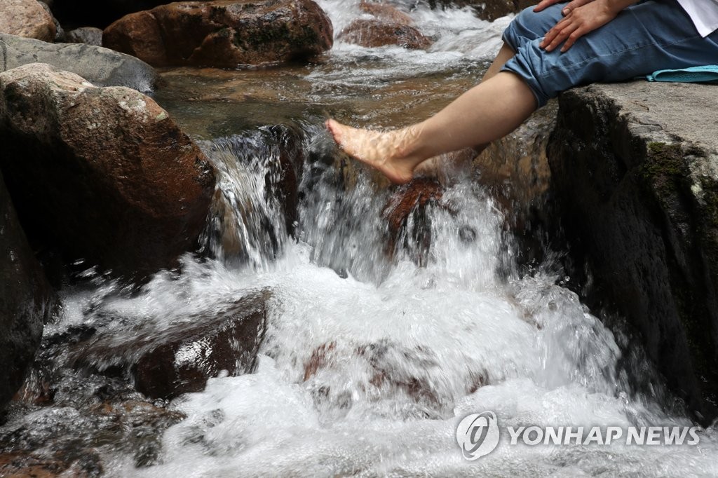 폭염 피해 바다·산·계곡으로…못 참겠다 '풍덩'