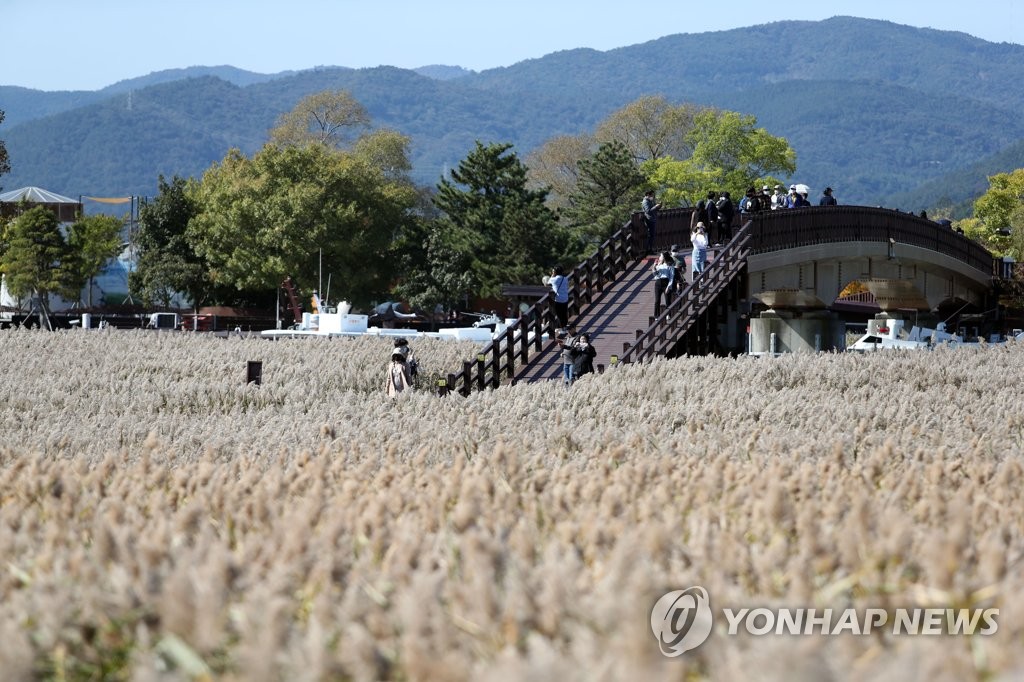 [통통 지역경제] 순천시, 정원박람회로 '녹색 성장' 일군다