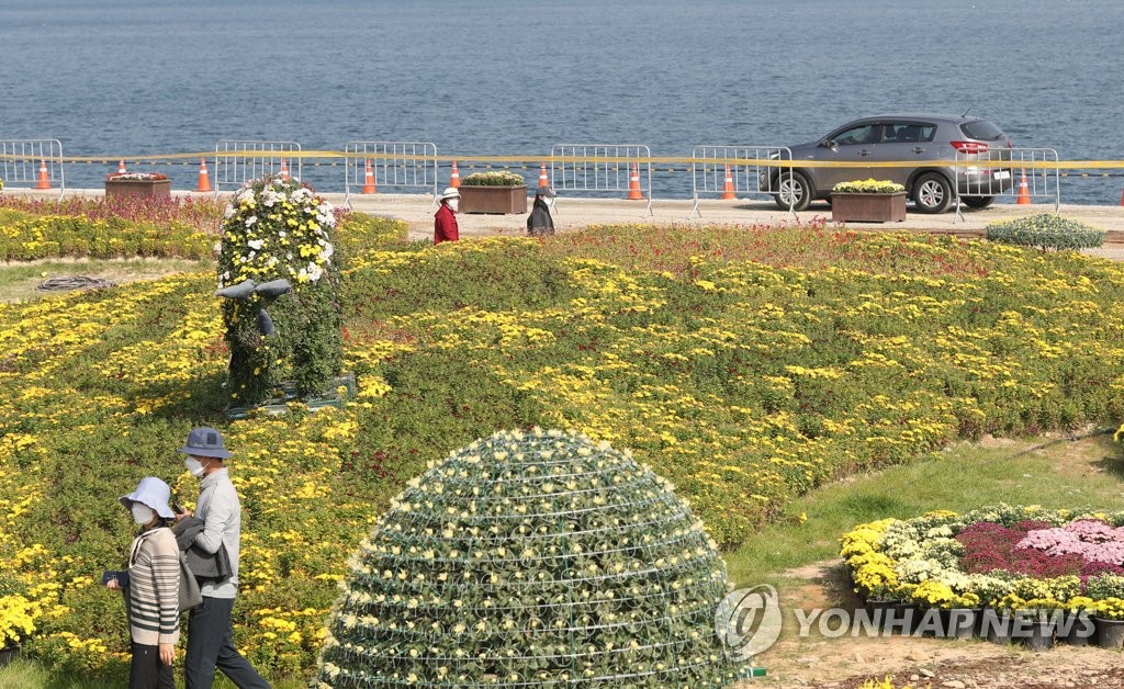 마산국화축제 발전 위한 아이디어·슬로건 공모…창원시민 대상