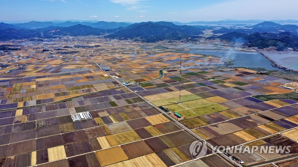 봄 가뭄 여파 올해 보리·양파 생산량 20%대 급감