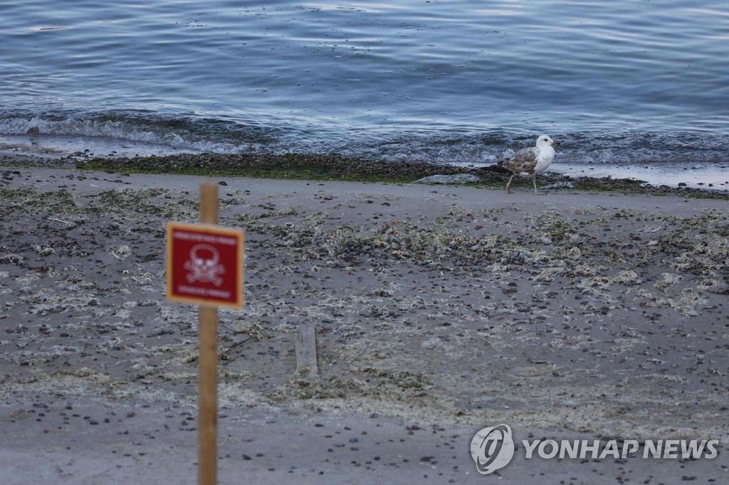 "러, 식량 무기로 서방과 아프리카·중동 간 분열 조장"