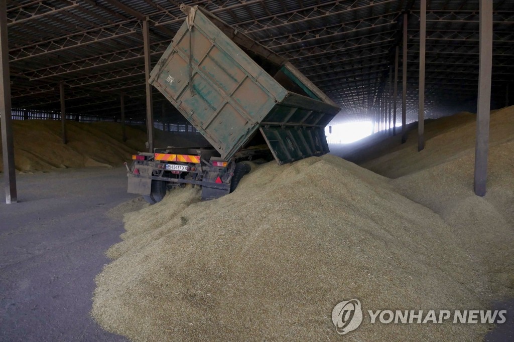 흑해항 언제 열리나…발묶인 밀 2천500만t 거취에 시선 집중