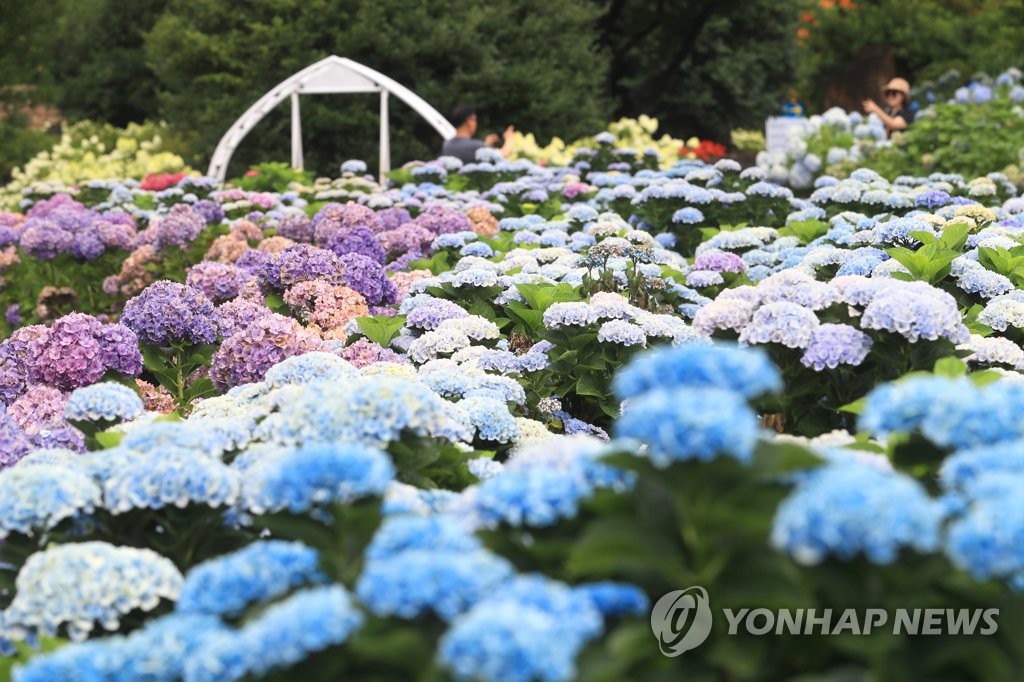 태풍 에어리 일본으로…"제주도 해안 강한 너울 주의"