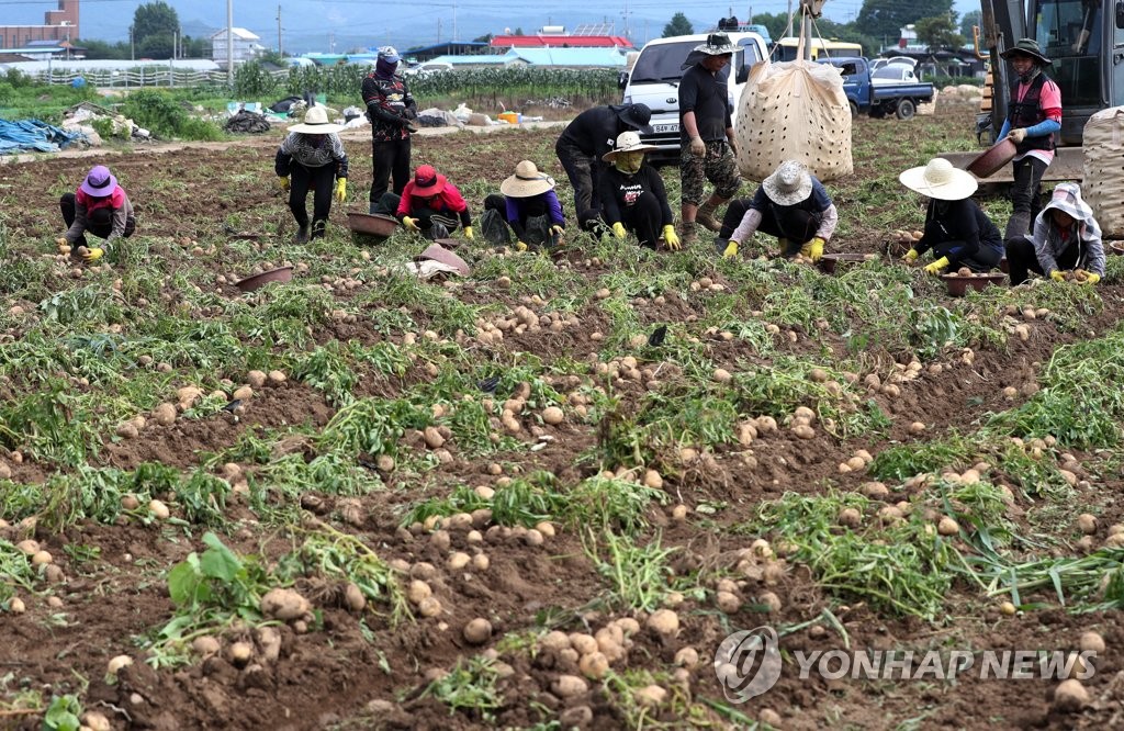 10명 중 6명 도망갔던 강원 농촌 외국인 근로자…올해는 어떨까