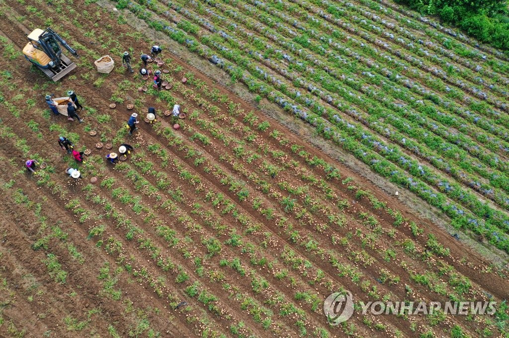 추석 성수품 수급 원활하게…농식품부, 농촌 인력지원 확대