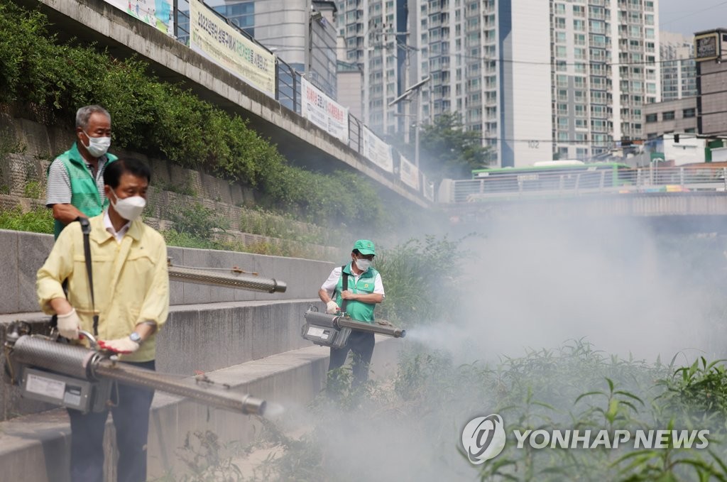 도심 떼 출몰 '러브버그'는 국내 보고된 적 없는 미기록종